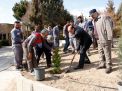 گزارش تصویری از آئیین درختکاری و تقدیر ازهمکاران فضای سبز دانشگاه